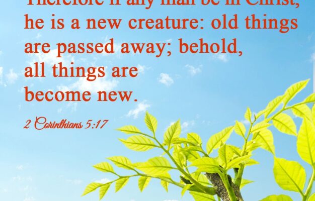 Thoughts On Today s Bible Verse fear god shun evil On Tumblr