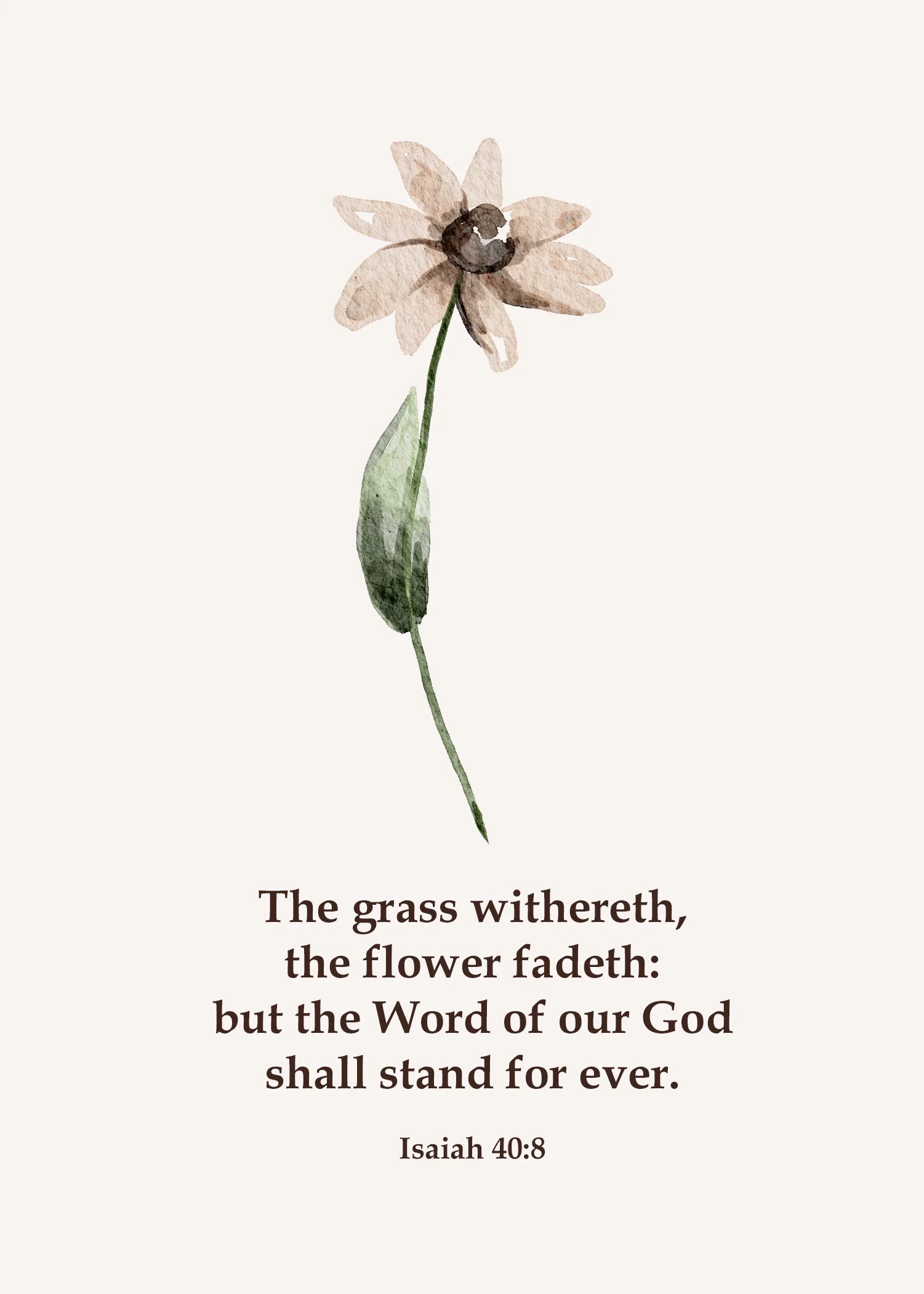 Tiny Blooms Verses Greeting Cards