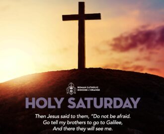 Today Is Holy Saturday Then Jesus Said To Them Do Not Be Afraid Go Tell My Brothers To Go To Galilee And There They Will See Me Matthew 28 10