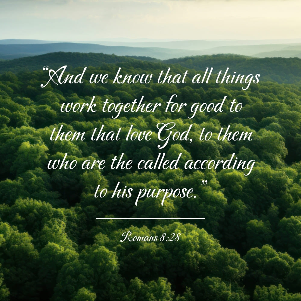Bible Quotes On Environment