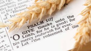 Top 10 Thanksgiving Bible Verses Scriputres On Gratitude Thankfulness