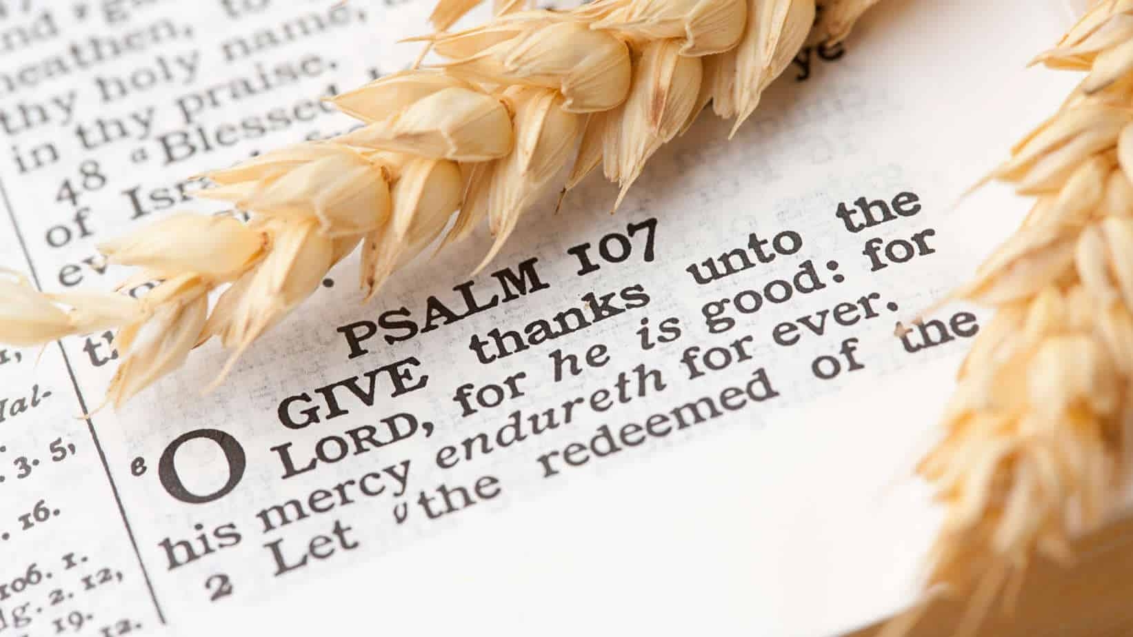 Bible Thanksgiving Quotes