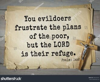 Top 1000 Bible Verses Psalms You Evildoers Stock Photo 485435491 Shutterstock
