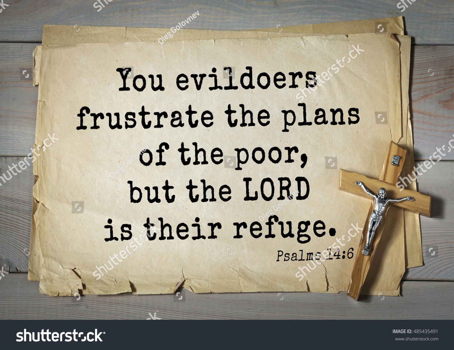 Top 1000 Bible Verses Psalms You Evildoers Stock Photo 485435491 Shutterstock