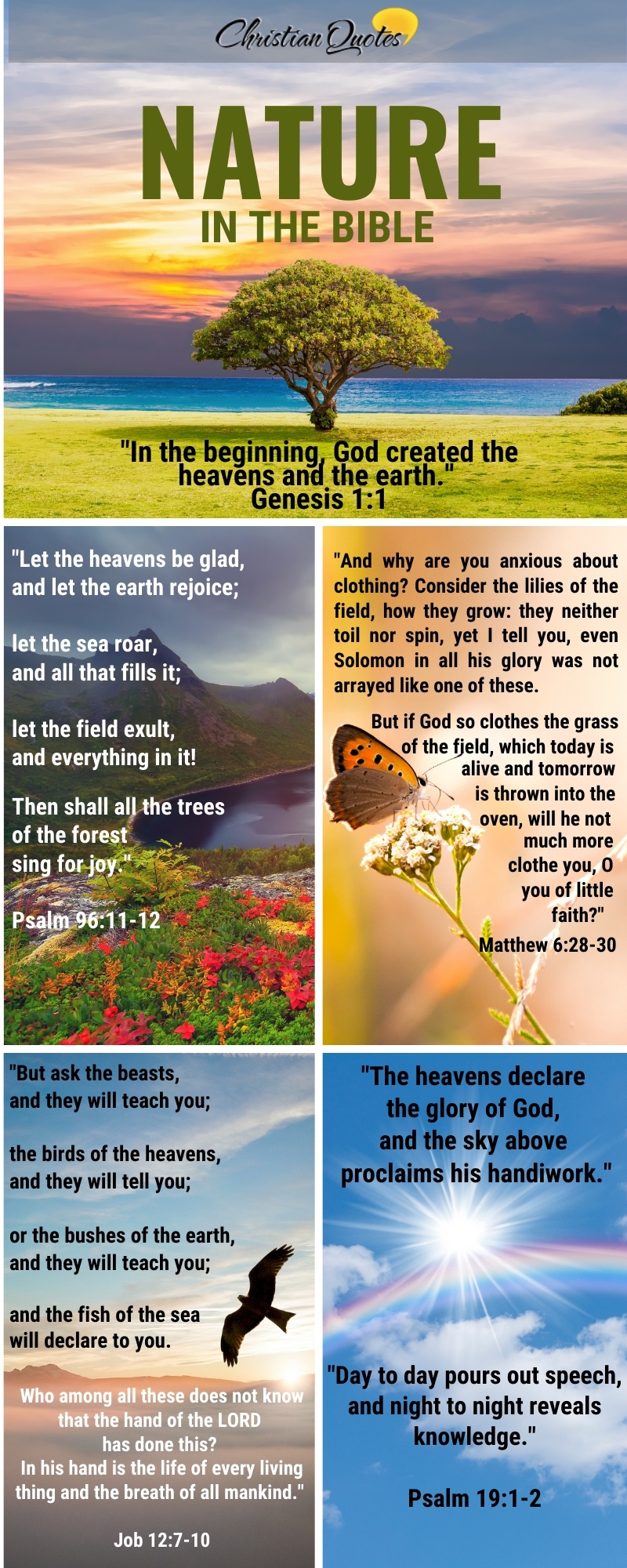 Top 16 Bible Verses About Nature ChristianQuotes info