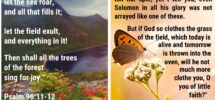 Top 16 Bible Verses About Nature ChristianQuotes info