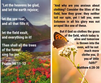 Top 16 Bible Verses About Nature ChristianQuotes info