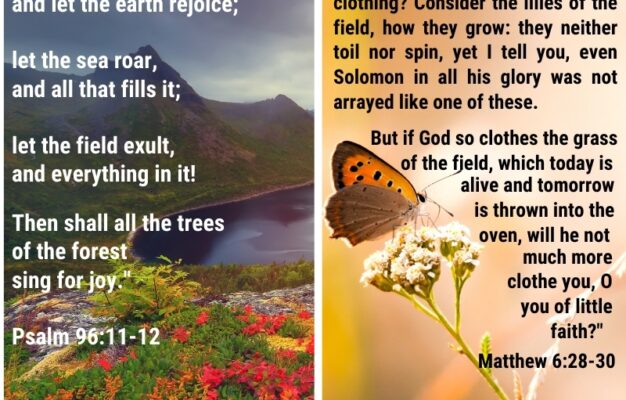 Top 16 Bible Verses About Nature ChristianQuotes info