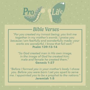 Top 25 Pro Life Bible Verses Important Scripture Quotes Bible Study Tools