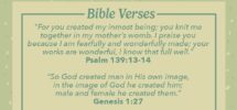 Top 25 Pro Life Bible Verses Important Scripture Quotes Bible Study Tools