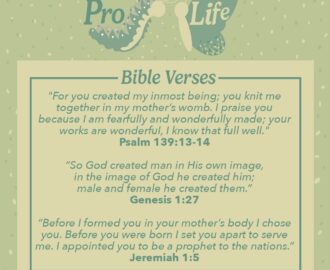 Top 25 Pro Life Bible Verses Important Scripture Quotes Bible Study Tools