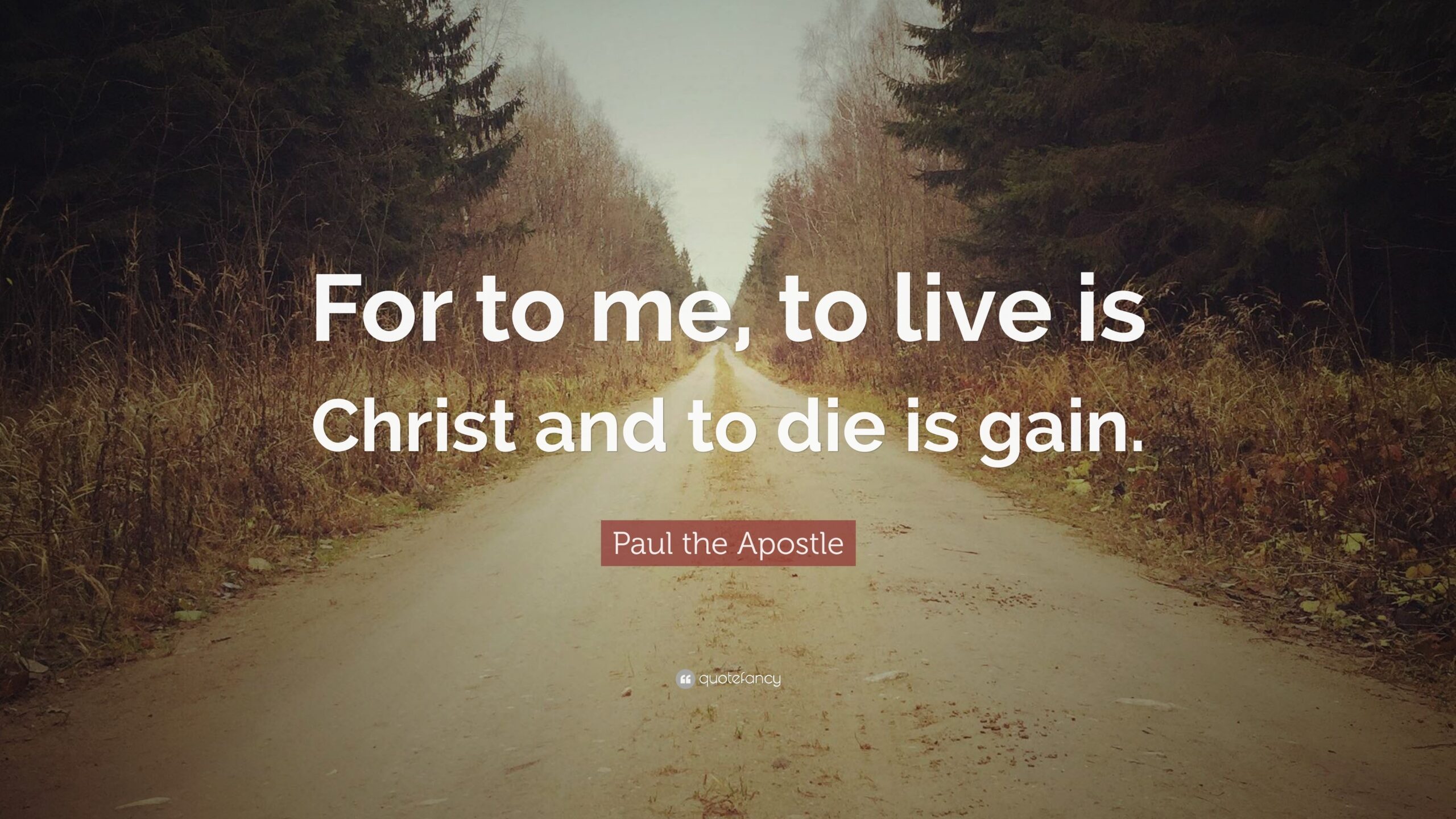 Top 50 Paul The Apostle Quotes 2026 Update QuoteFancy