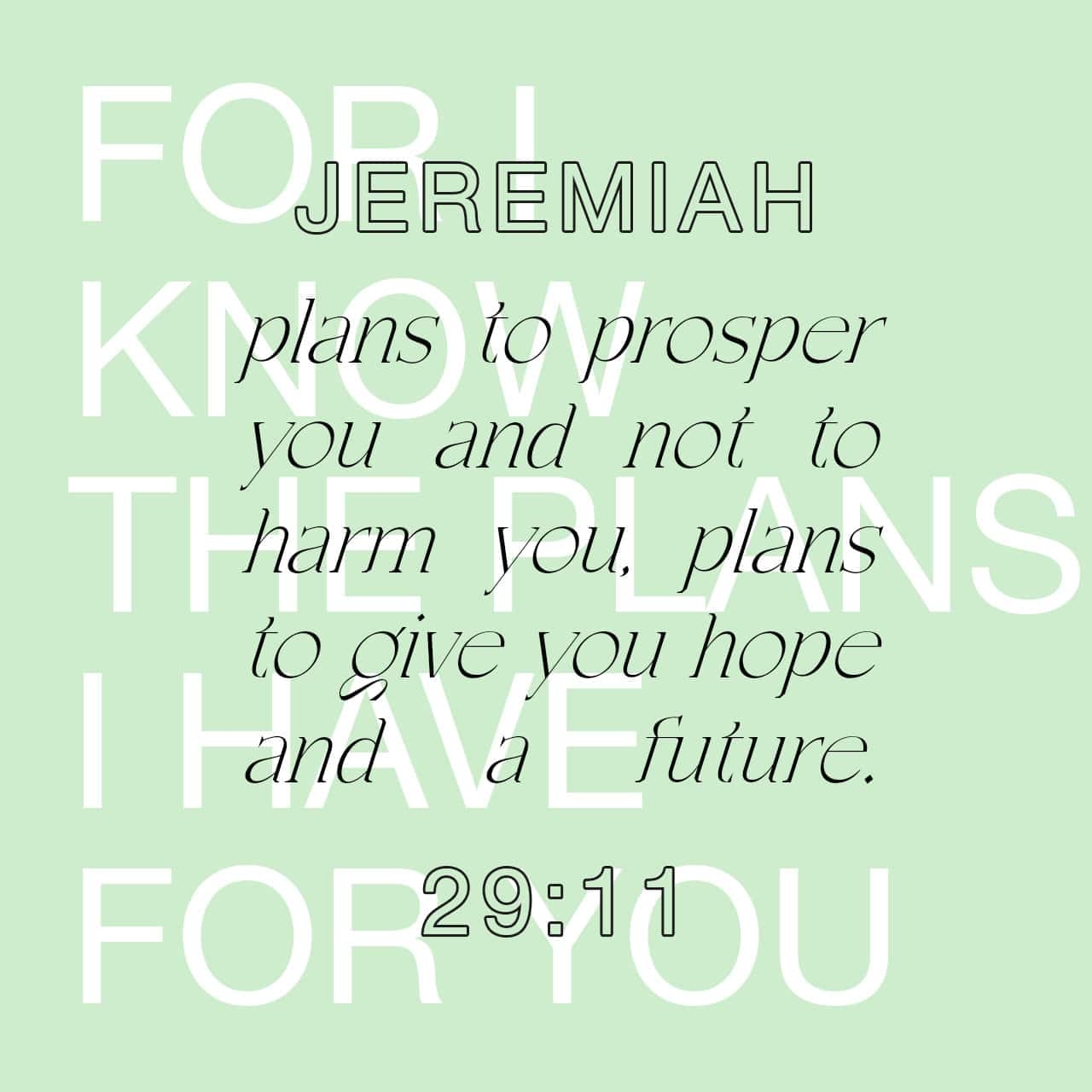 Top Bible Verses From Jeremiah 29 Bible Verses YouVersion
