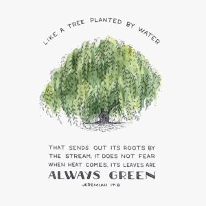 Tree Planted By Water Jeremiah 17 8 Scripture Art Print Painted Verses