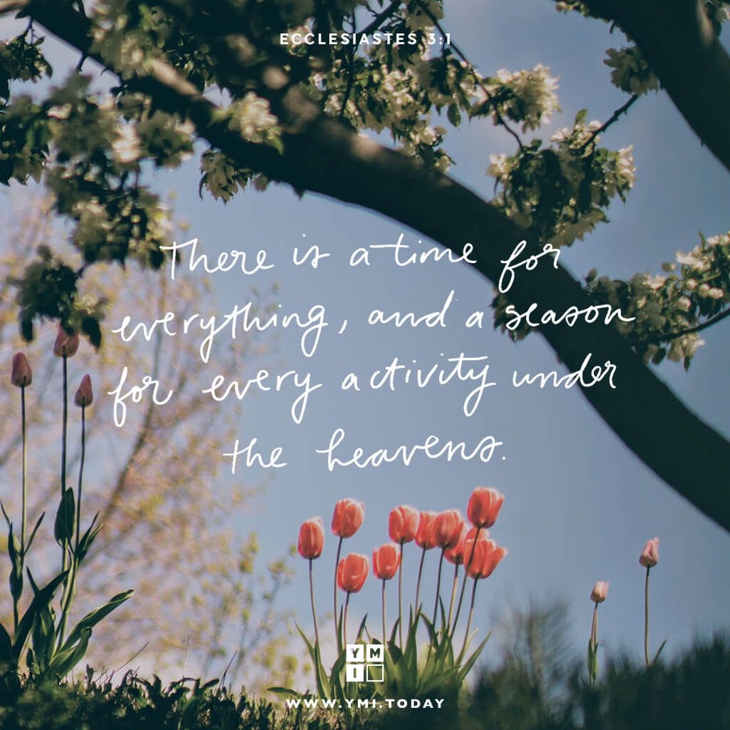 Typography Ecclesiastes 3 1 YMI