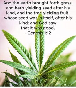 Using Cannabis Is Not A Sin It s A Healing Herb Our Body Is Meant To Receive It If It s Not For You Okay But Don t Judge Others Jesus Bible Christian cannabis weed