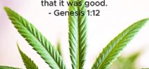 Using Cannabis Is Not A Sin It s A Healing Herb Our Body Is Meant To Receive It If It s Not For You Okay But Don t Judge Others Jesus Bible Christian cannabis weed