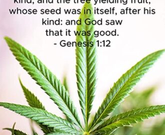 Using Cannabis Is Not A Sin It s A Healing Herb Our Body Is Meant To Receive It If It s Not For You Okay But Don t Judge Others Jesus Bible Christian cannabis weed