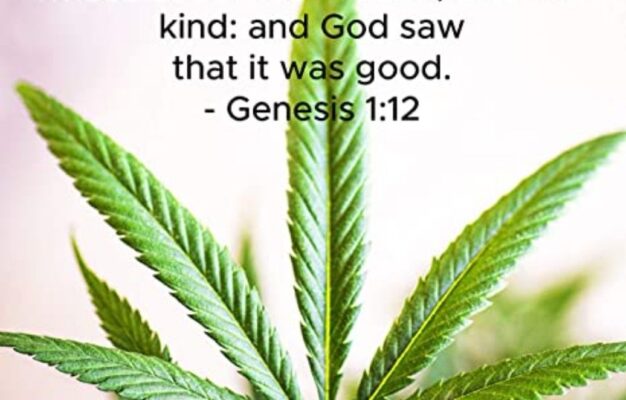 Using Cannabis Is Not A Sin It s A Healing Herb Our Body Is Meant To Receive It If It s Not For You Okay But Don t Judge Others Jesus Bible Christian cannabis weed