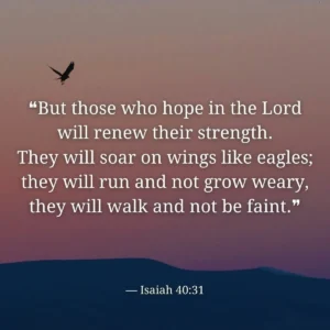 Verse Of The Day Isaiah 40 31