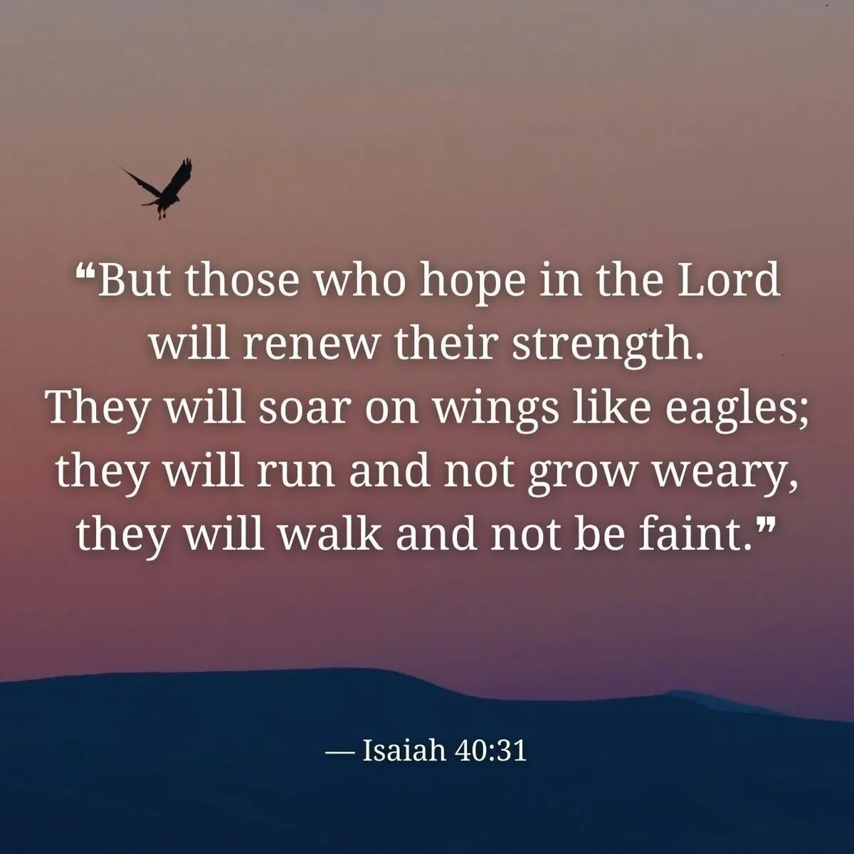  Verse Of The Day Isaiah 40 31