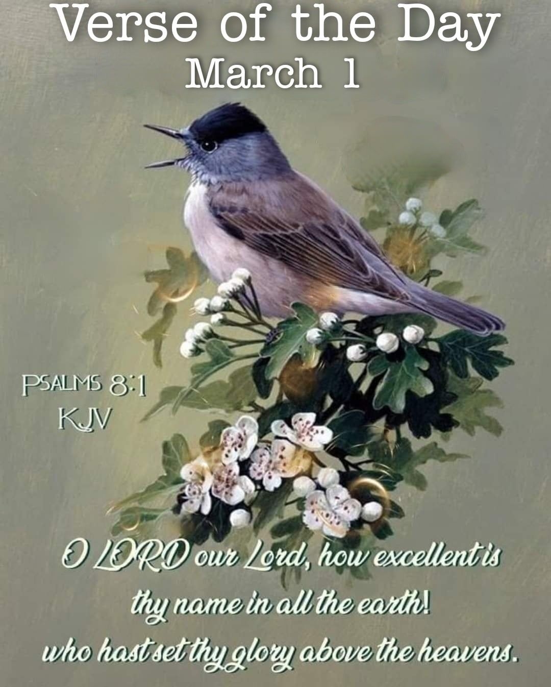 Verse Of The Day March 1 Pictures Photos And Images For Facebook Tumblr Pinterest And Twitter