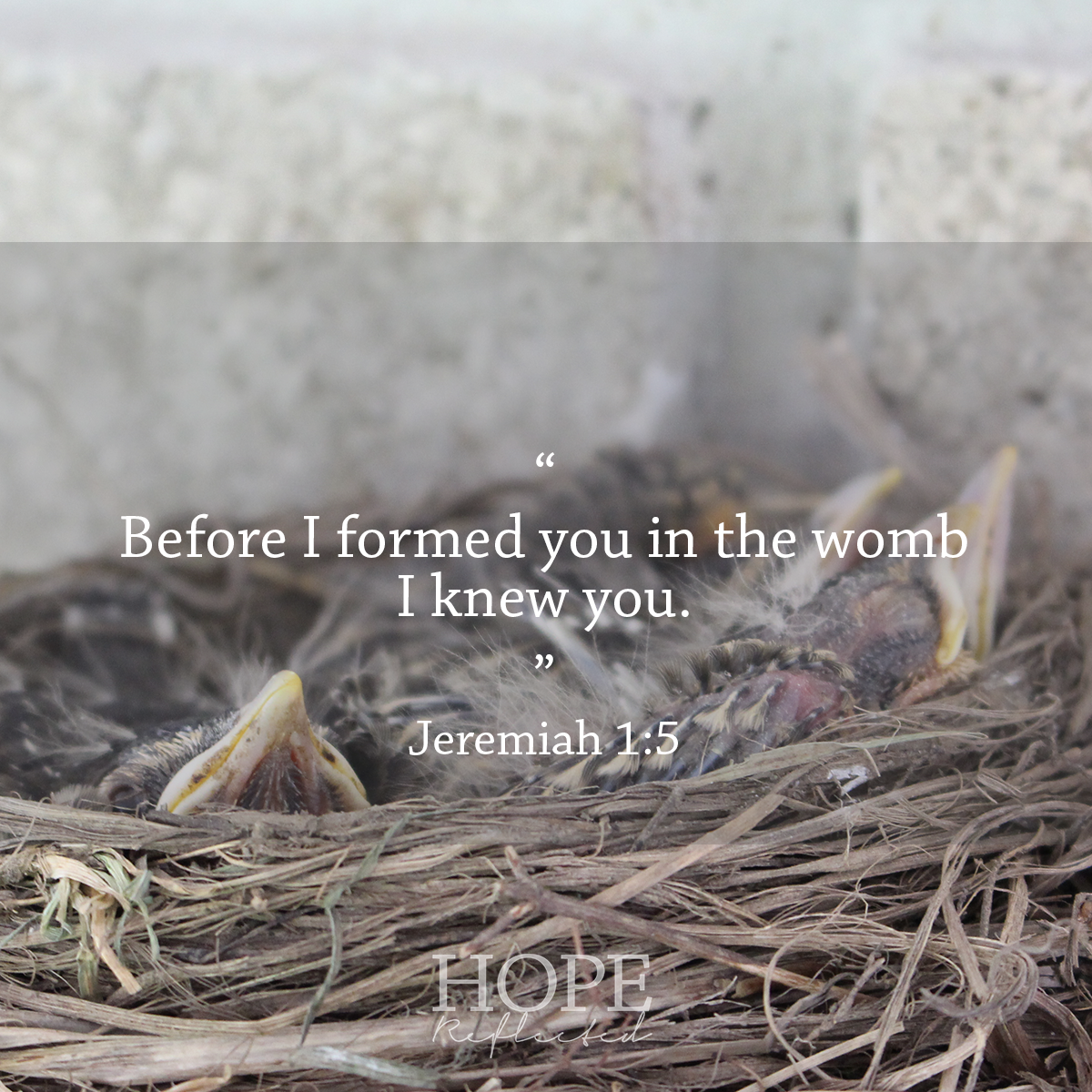 Verses For When You Feel Insecure Archives Hope Reflected