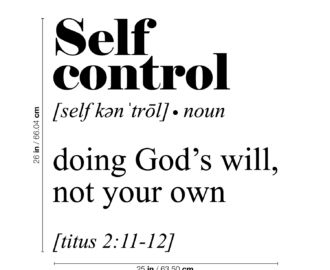 Vinyl Wall Art Decal Self Control Bible Definition 26 X 25 Modern Inspirational Religious Faith God Quote For Home Bedroom Office Workplace Church Decoration Sticker Walmart