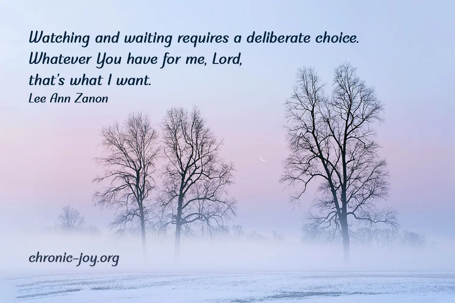 Waiting In Winter Chronic Joy 
