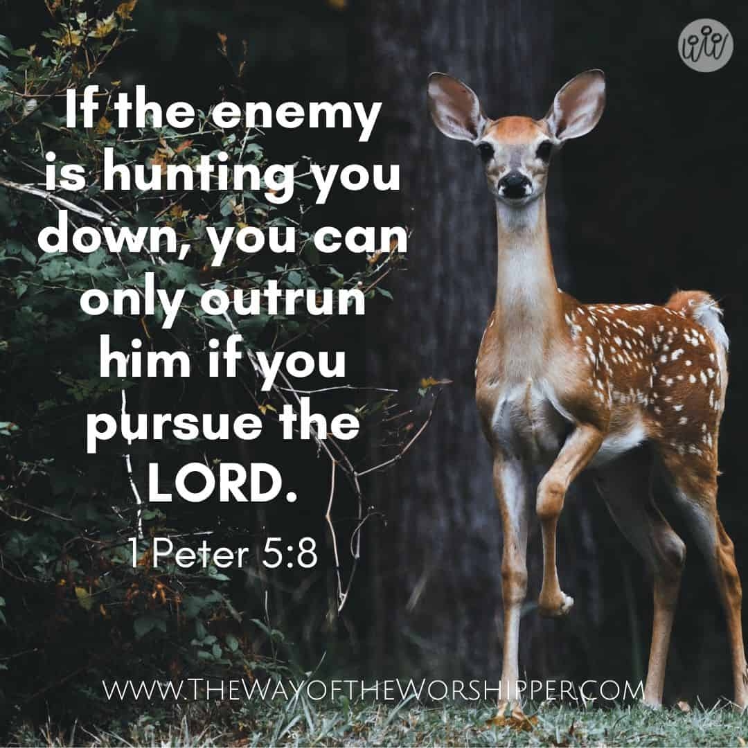 Bible Quotes About Hunting