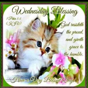 Wednesday Blessings With Bible Verse Pictures Photos And Images For Facebook Tumblr Pinterest And Twitter