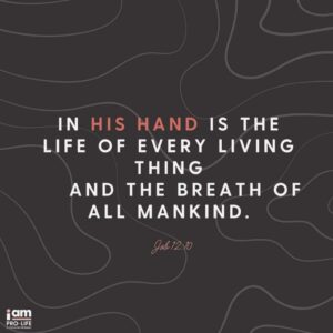 What Does The Bible Say About Abortion Focus On The Family