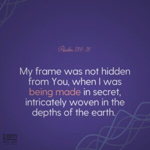 What Does The Bible Say About Abortion Focus On The Family