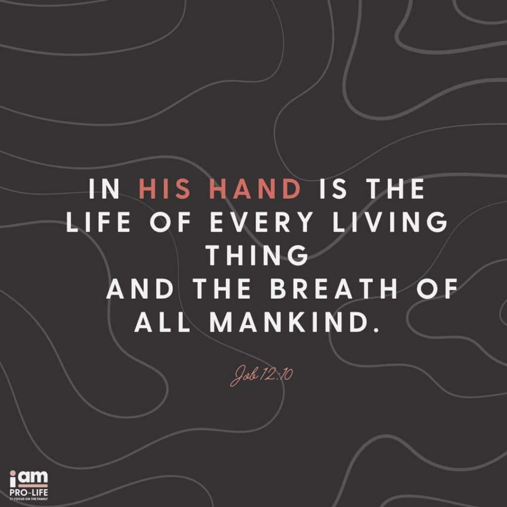 Bible Quotes On Sanctity Of Life