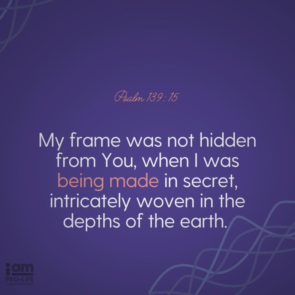 What Does The Bible Say About Abortion Focus On The Family