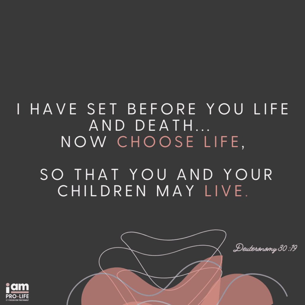 What Does The Bible Say About Abortion Focus On The Family