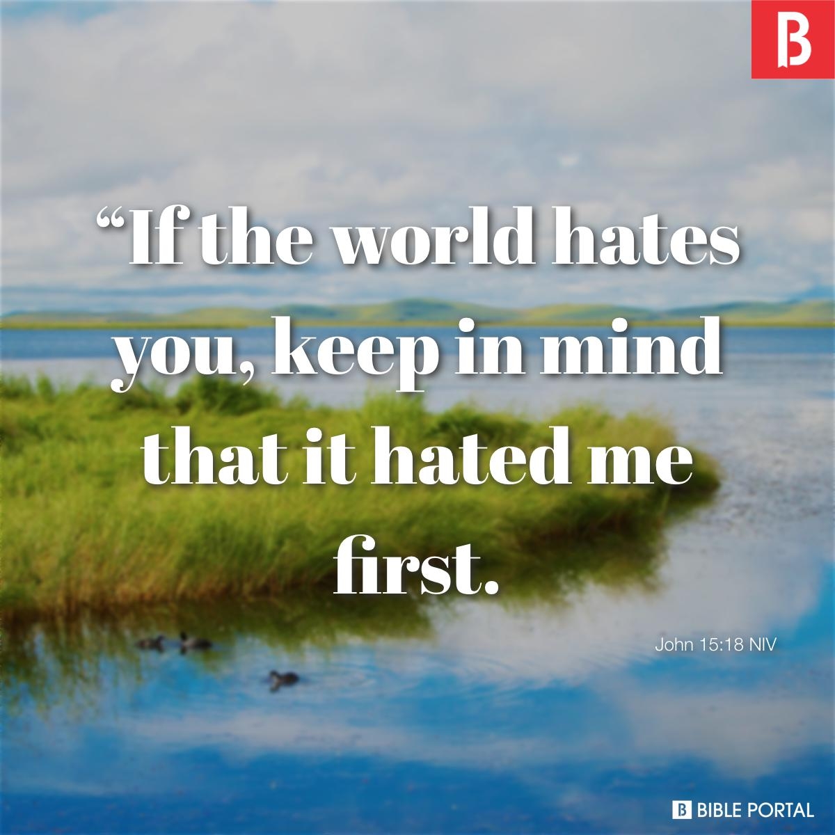 What Does The Bible Say About Haters 