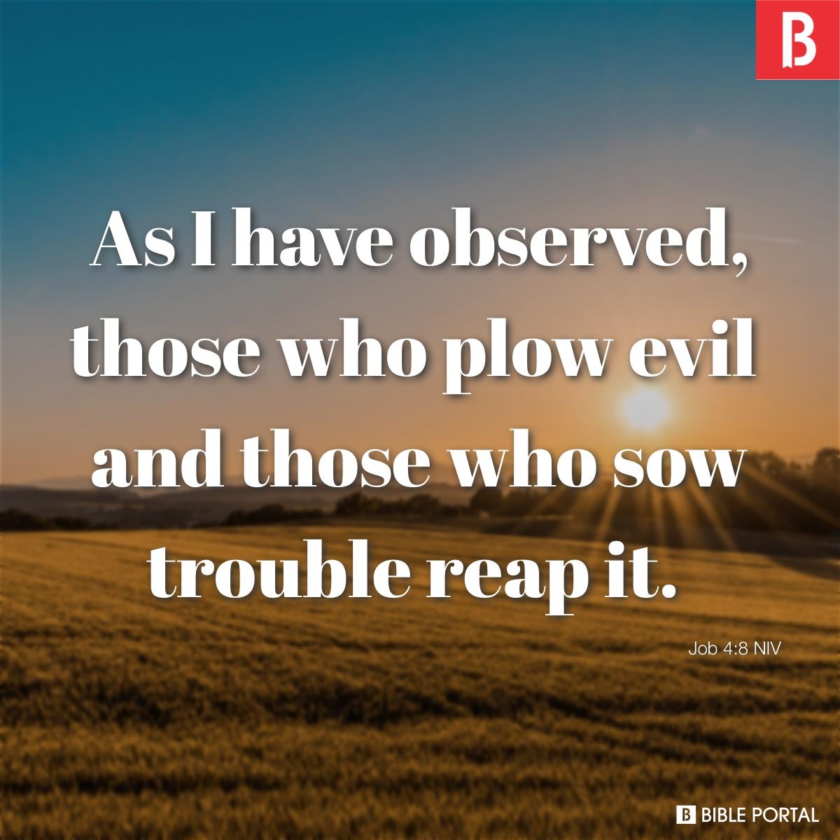 Karma Bible Quotes
