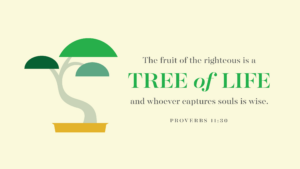 What s The Meaning Of The Tree Of Life In The Bible