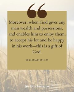 What The Bible Says About Money 27 Lessons That Will Surprise You Hill River Homestead