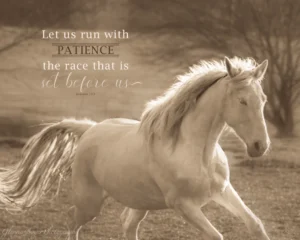White Horse Inspirational Print Glenna Bayer Photography