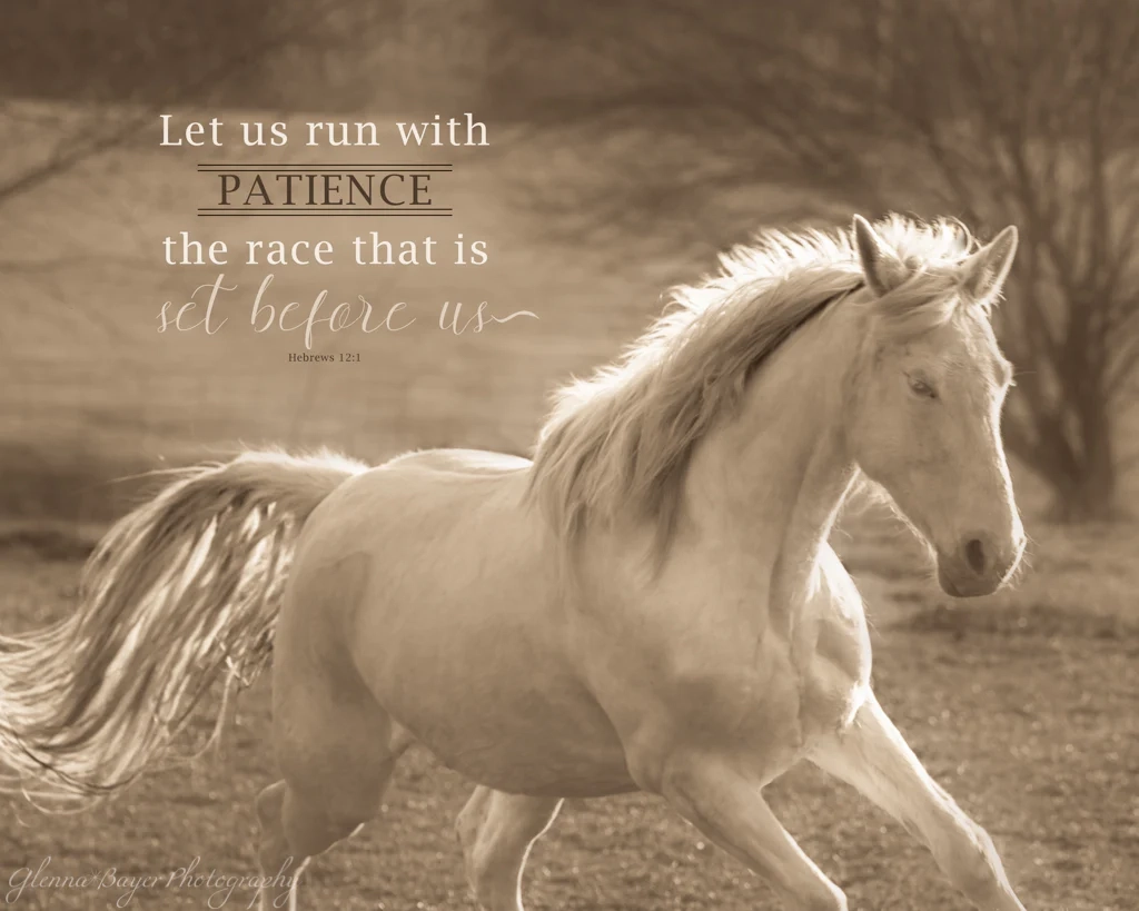 White Horse Inspirational Print Glenna Bayer Photography