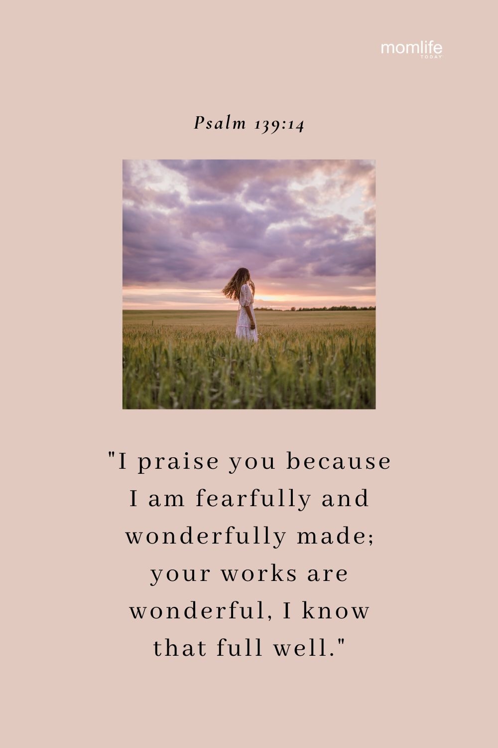 Who I Am In Christ 35 Powerful Bible Verses On Our Identity And Purpose MomLife Today