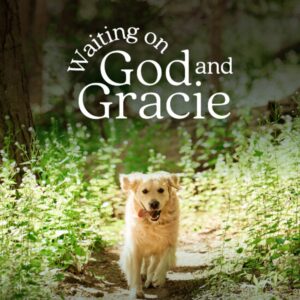 Will My Dog Go To Heaven Christianity