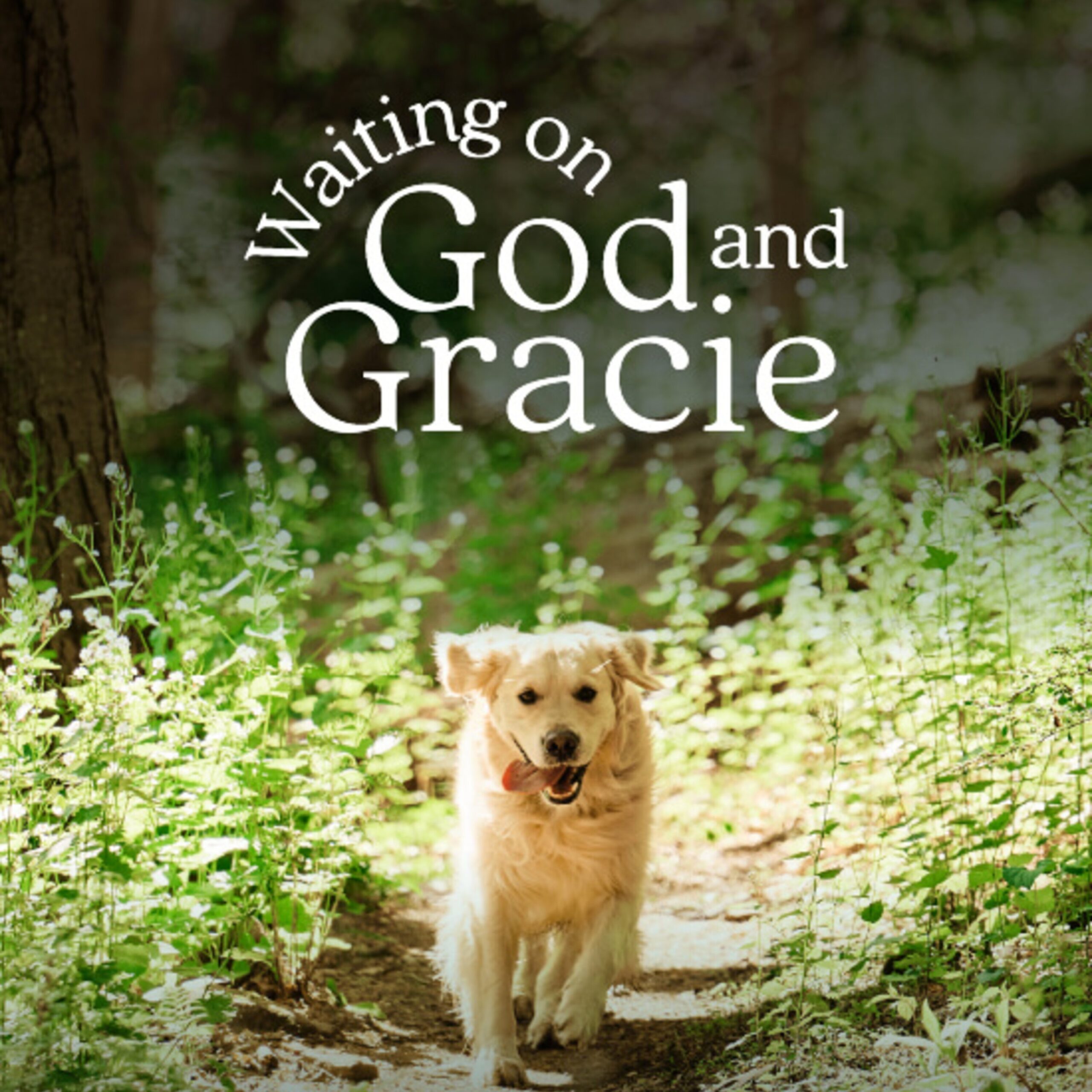 Bible Quotes About Dogs
