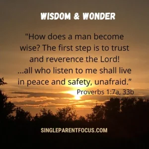 Wisdom And Wonder 31 Day Journey Through The Book Of Proverbs