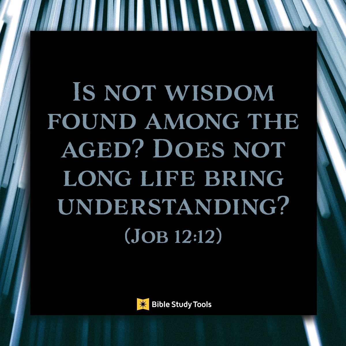 Wisdom Of The Aged Job 12 12 Your Daily Bible Verse December 3 Your Daily Bible Verse Daily Devotional
