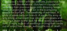 Words Wednesday Barbara Kingsolver Books On The Wall