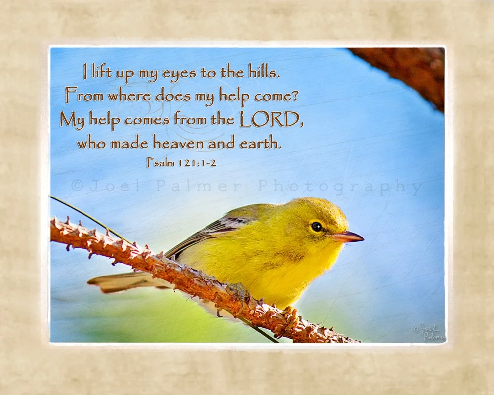 Yellow Bird On Tree Branch Blue Sky Scripture Art Print Bible Verse Quoted From Psalm 121 1 2 Nature Photography Etsy