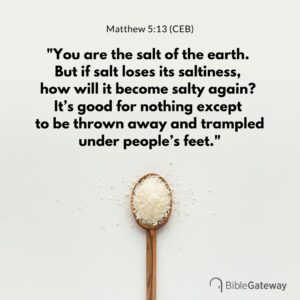 You Are The Salt Of The Earth But If Salt Loses Its Saltiness How Will It Become Salty Again It s Good For Nothing Except To Be Thrown Away And Trampled Under People s